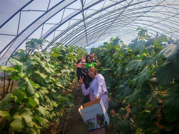 【工惠校园】金秋采摘，共赴一场甜蜜之约